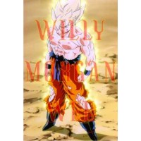 Dragon Ball Z 13